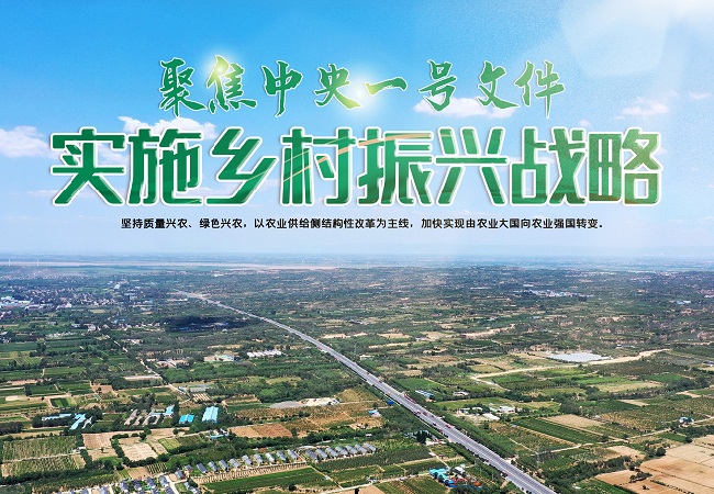 【中央一號文件】中央一號文件智慧農(nóng)業(yè)相關(guān)信息解讀！