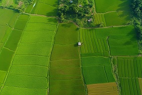 浙江：創(chuàng)新投融資模式 賦能高標準農(nóng)田建設(shè)